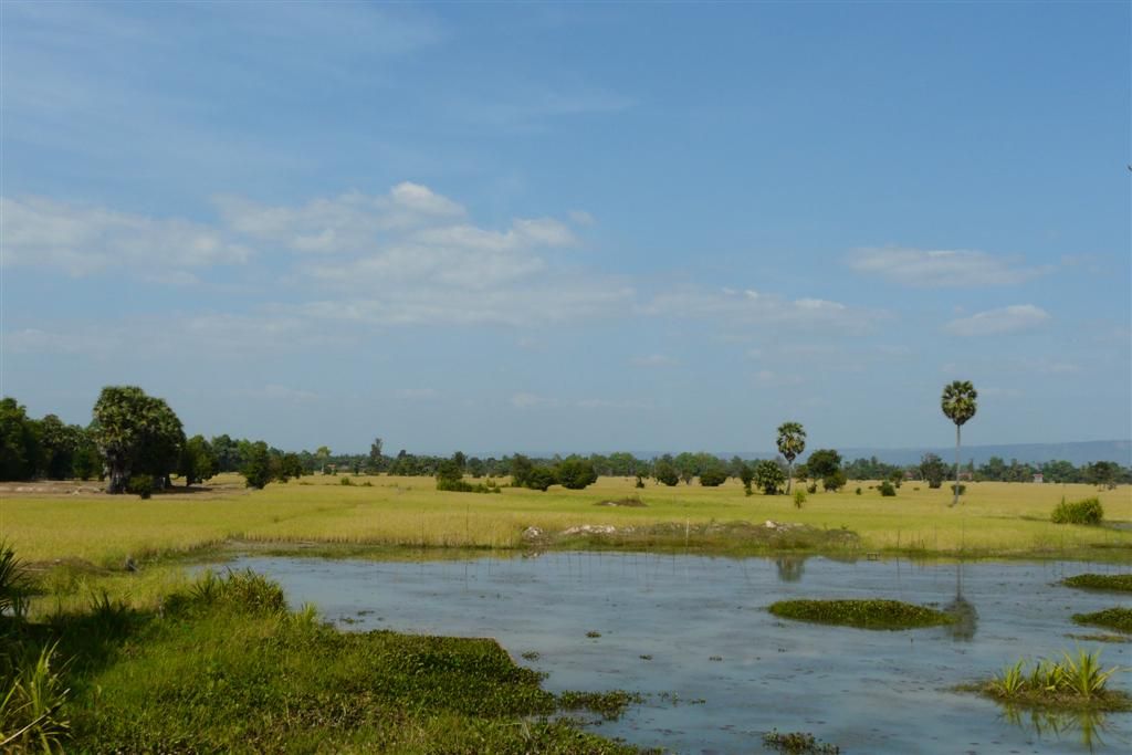 CAMBODJA - SIEM REAP - uitzicht bij een dorpje