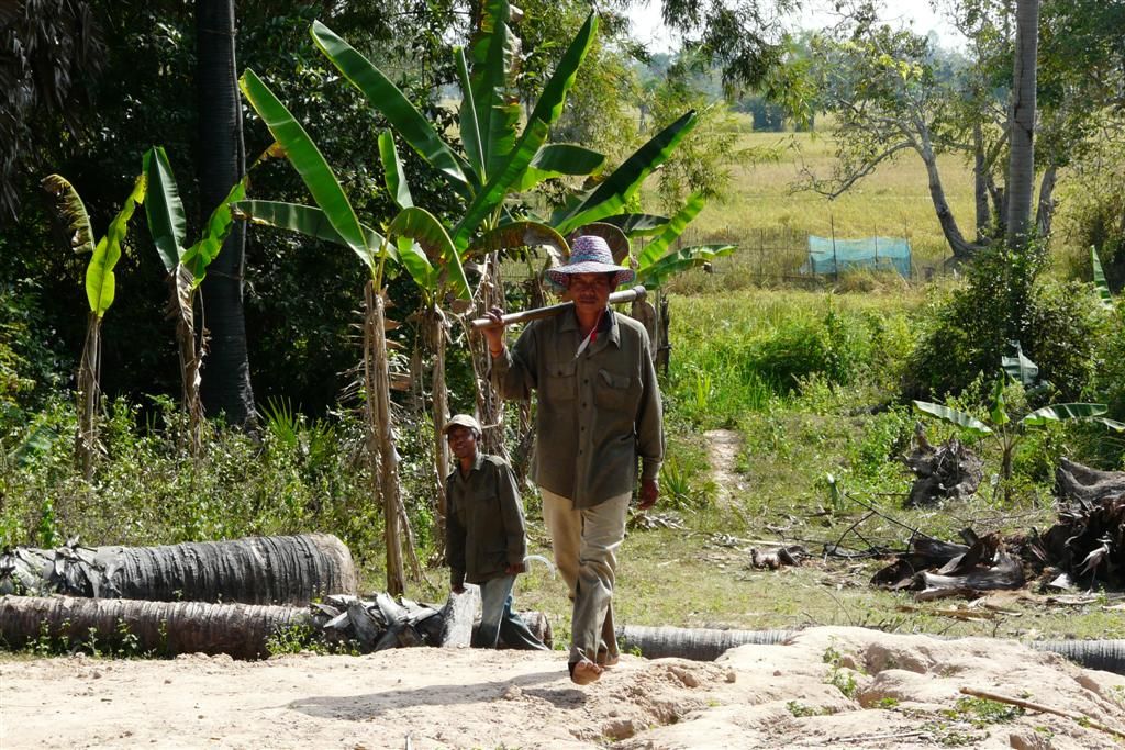 CAMBODJA - SIEM REAP - dorpsbewoner die op een rijstveld gewerkt heeft