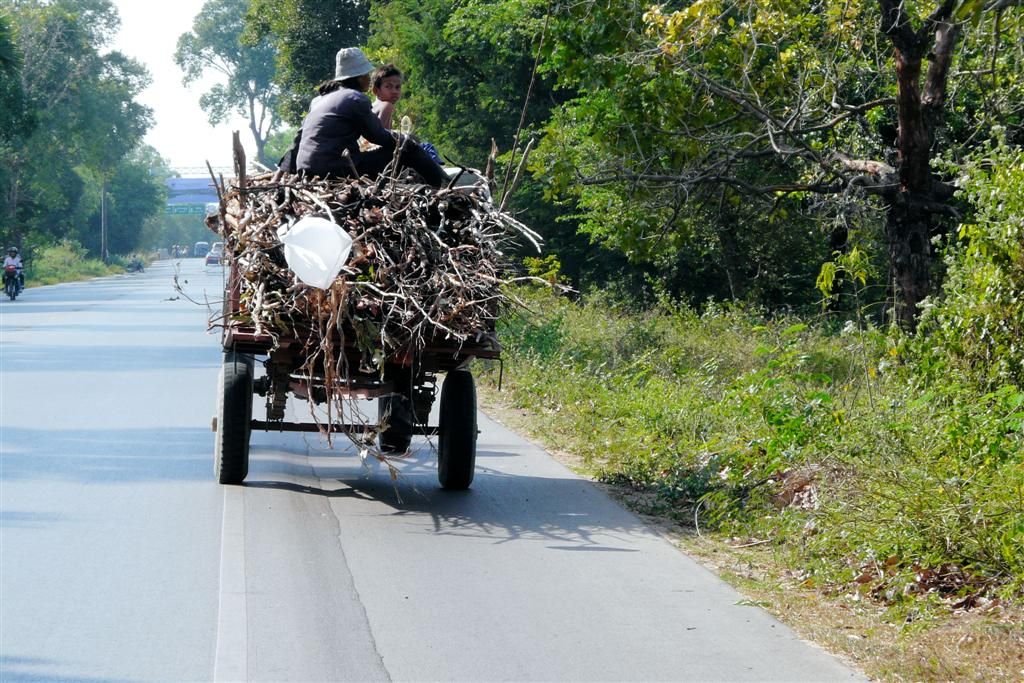 CAMBODJA - SIEM REAP - tractor met lading takken
