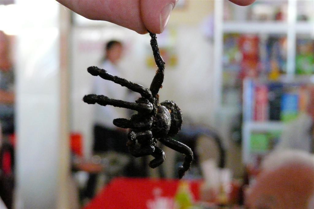 CAMBODJA - SIEM REAP -> PHNOM PENH - gefrituurde tarantula spin