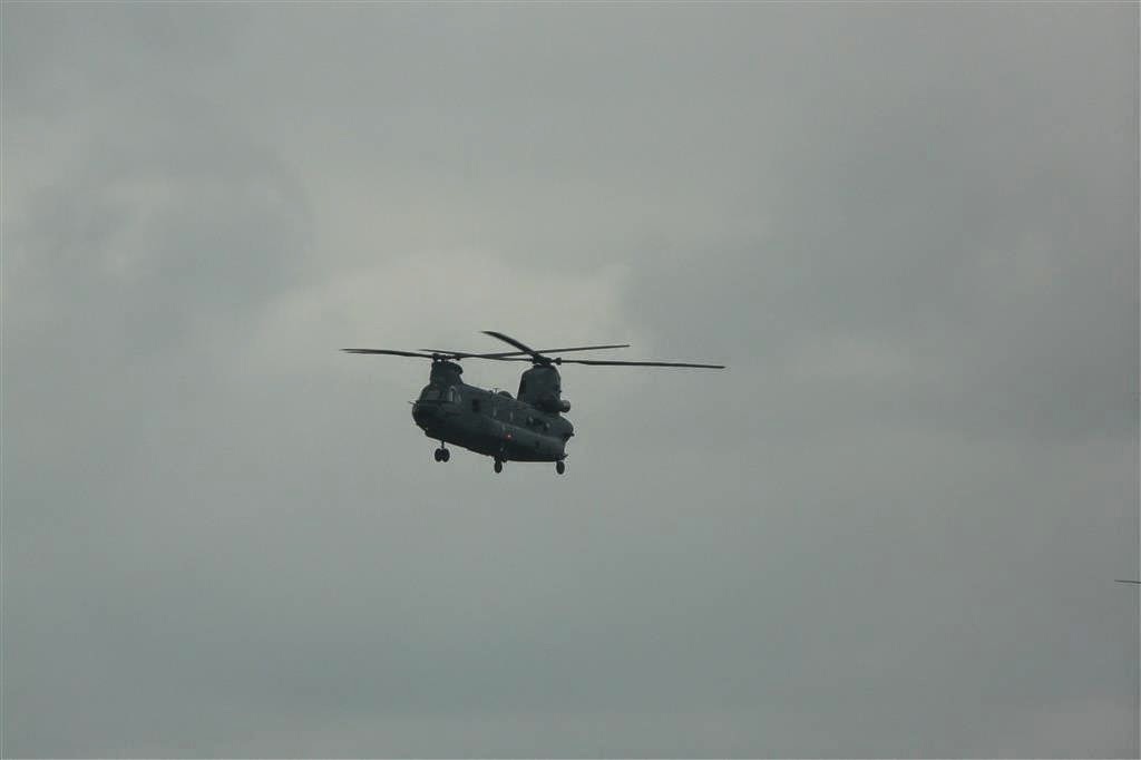 Chinook