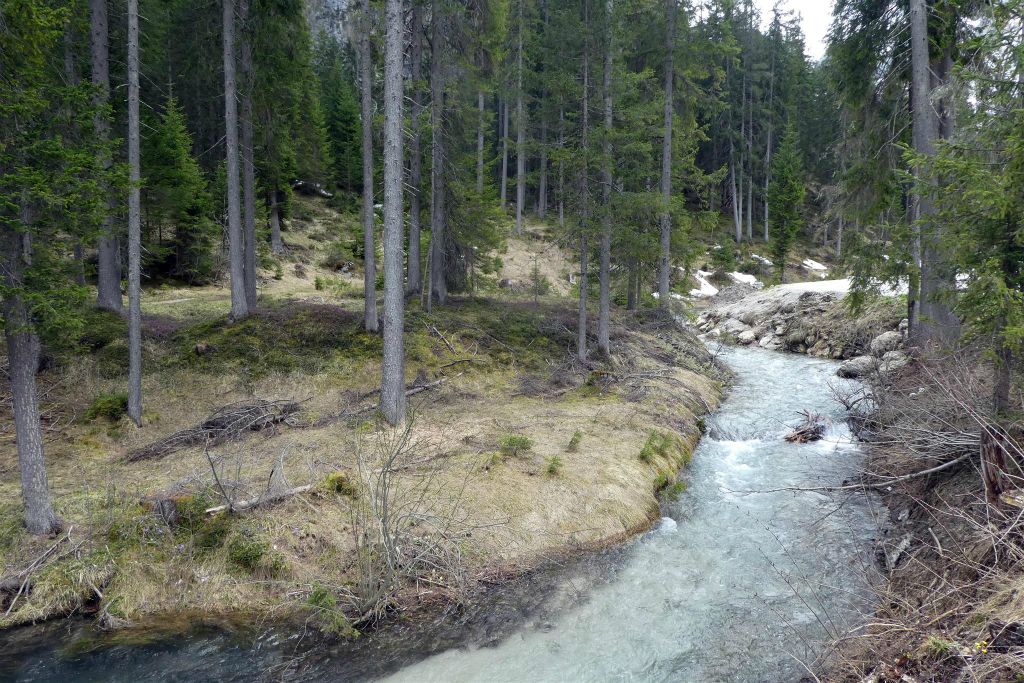 PRAGSER WILDSEE - een rivier