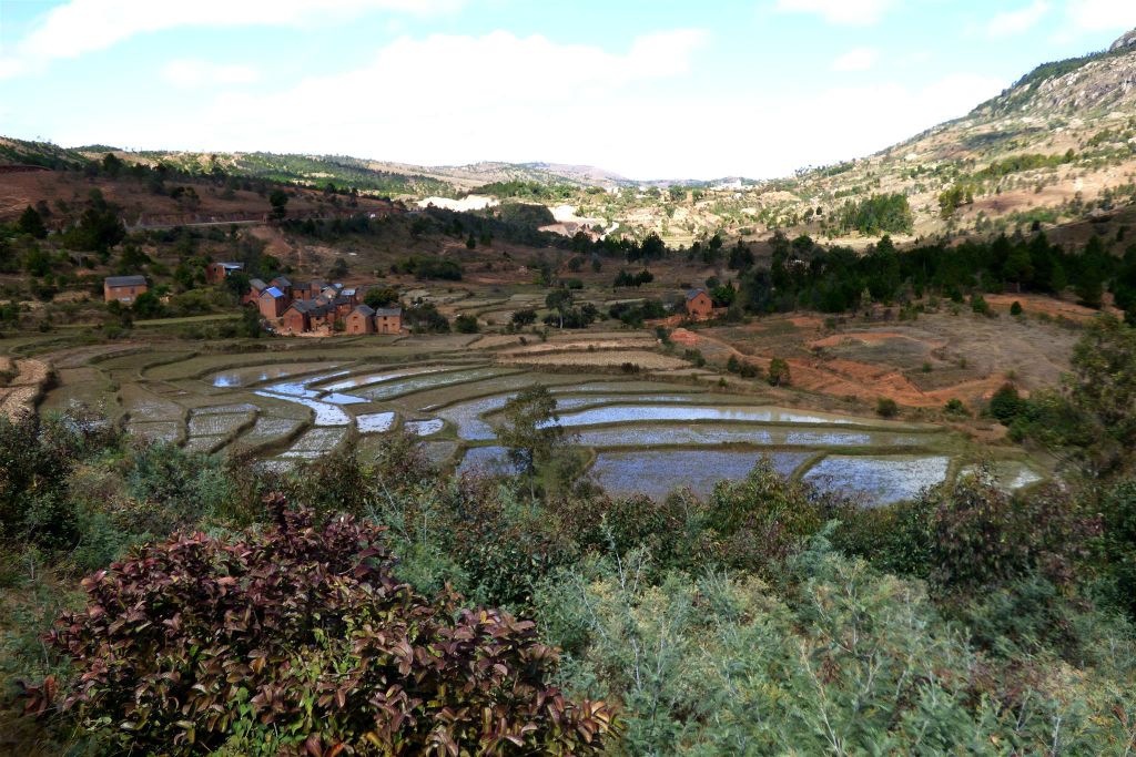 ANTANANARIVO -> AMBATOLAMPY - het landschap