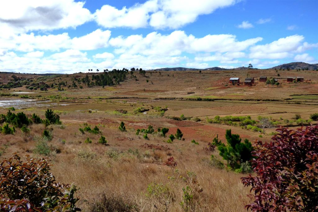 ANTANANARIVO -> AMBATOLAMPY - het landschap