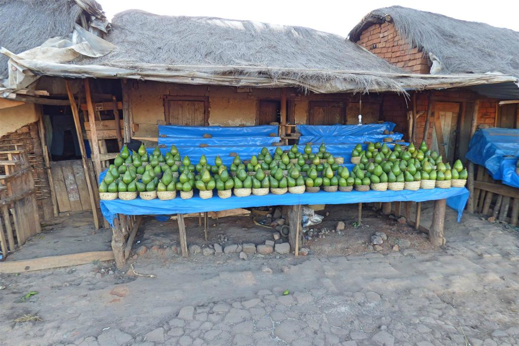 ANKAZONDRANO -> ANTSIRABE - een groentekraam