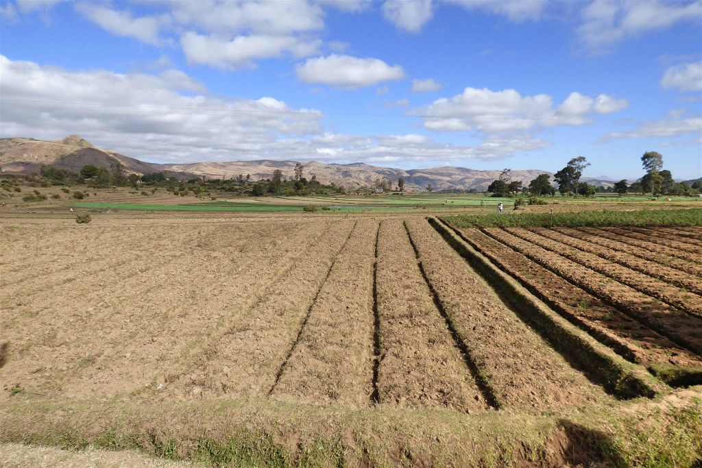 ANTSIRABE -> BETAFO - het landschap