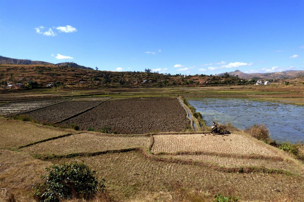BETAFO -> SOAVINA ANTANETY - het landschap