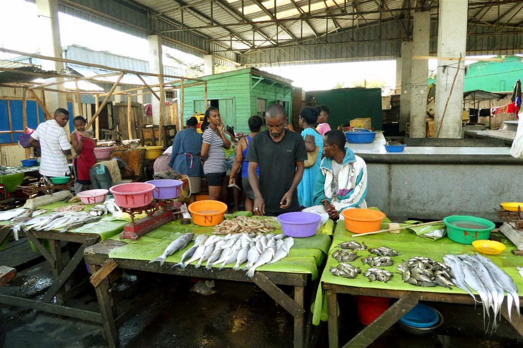 TOAMASINA - de verkoop van vis op een markt