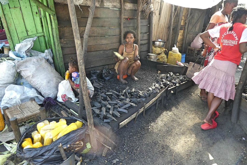 TOAMASINA - de verkoop van houtskool op een markt