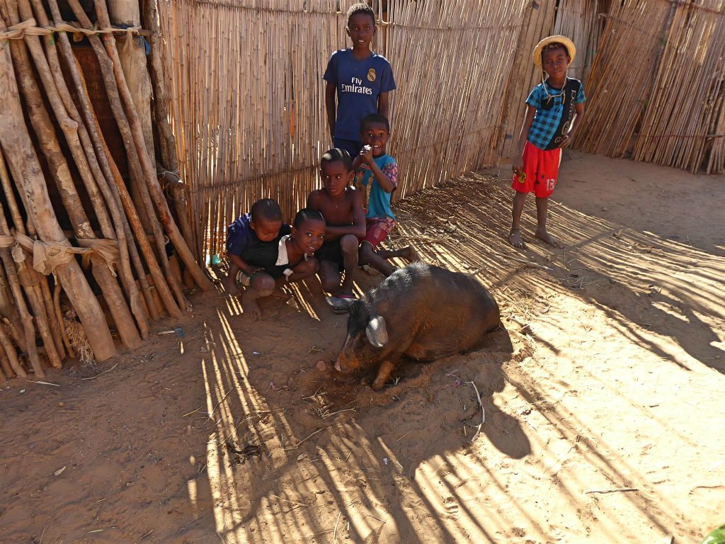 BEGIDRO - enkele kinderen bij een varken