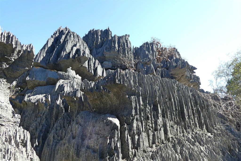 ANKILIMANINTSY (TSINGY DE BEMARAHA NATIONAL PARK) - het karstlandschap in het natuurreservaat