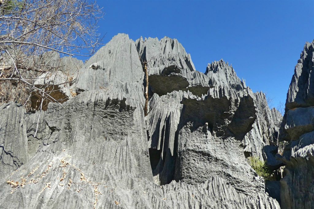 ANKILIMANINTSY (TSINGY DE BEMARAHA NATIONAL PARK) - het karstlandschap in het natuurreservaat