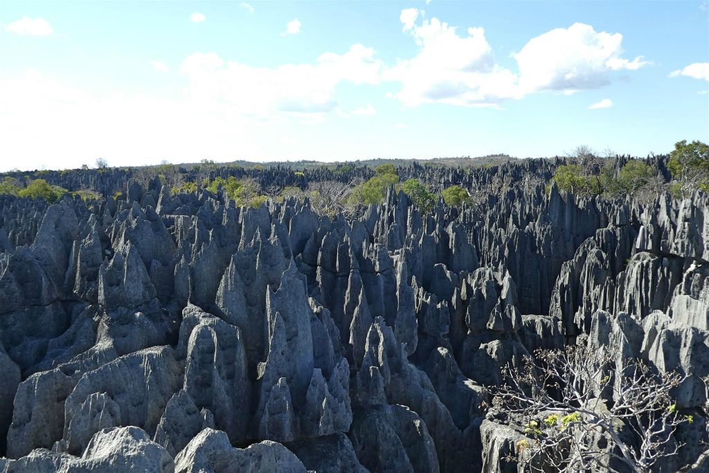 ANKILIMANINTSY (TSINGY DE BEMARAHA NATIONAL PARK) - het karstlandschap in het natuurreservaat