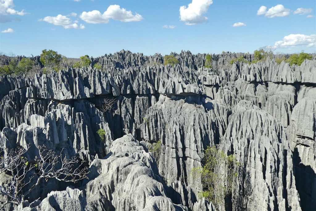 ANKILIMANINTSY (TSINGY DE BEMARAHA NATIONAL PARK) - het karstlandschap in het natuurreservaat