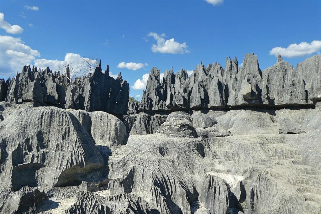 ANKILIMANINTSY (TSINGY DE BEMARAHA NATIONAL PARK) - het karstlandschap in het natuurreservaat