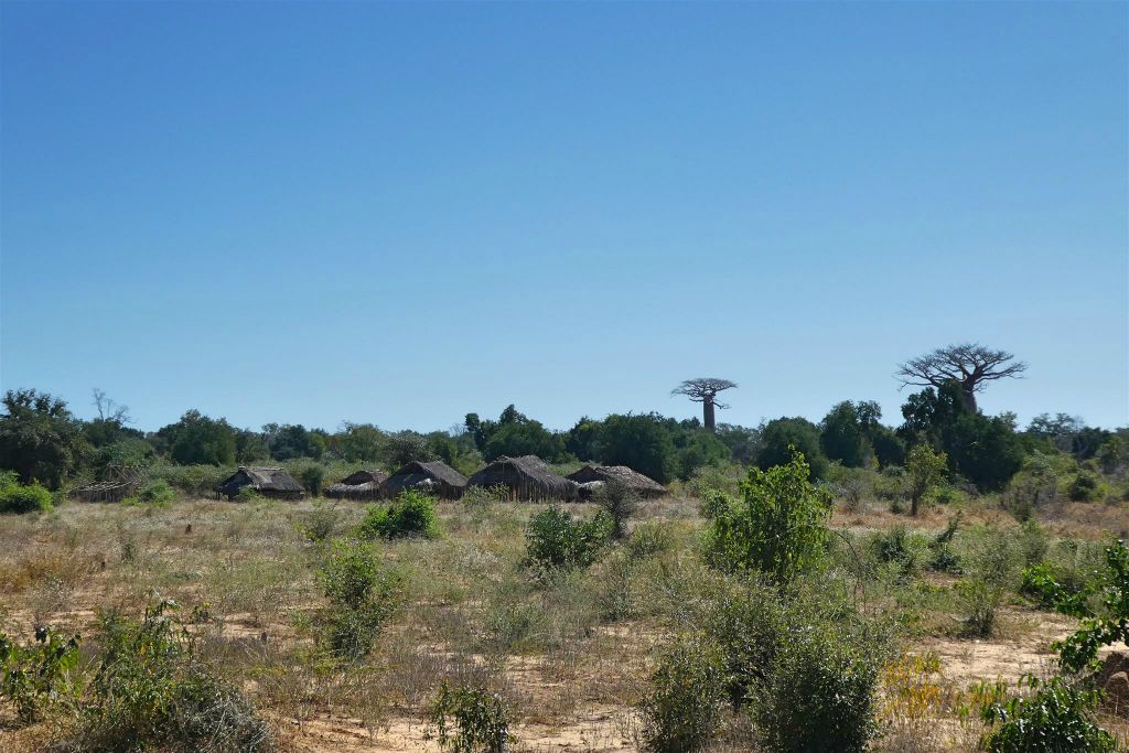 BEFASY - het landschap