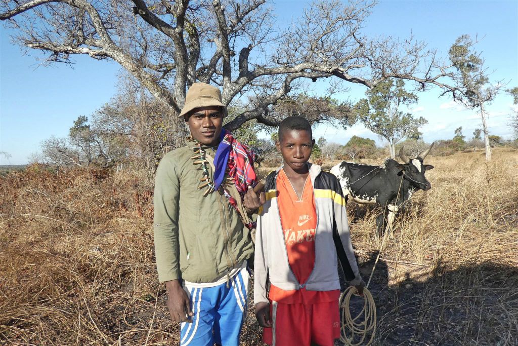 ANJAMANINTSY - twee zeboe herders
