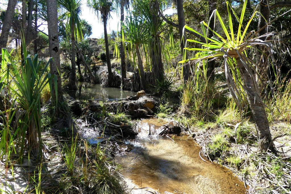 RANOHIRA (ISALO NATIONAL PARK) - een oase