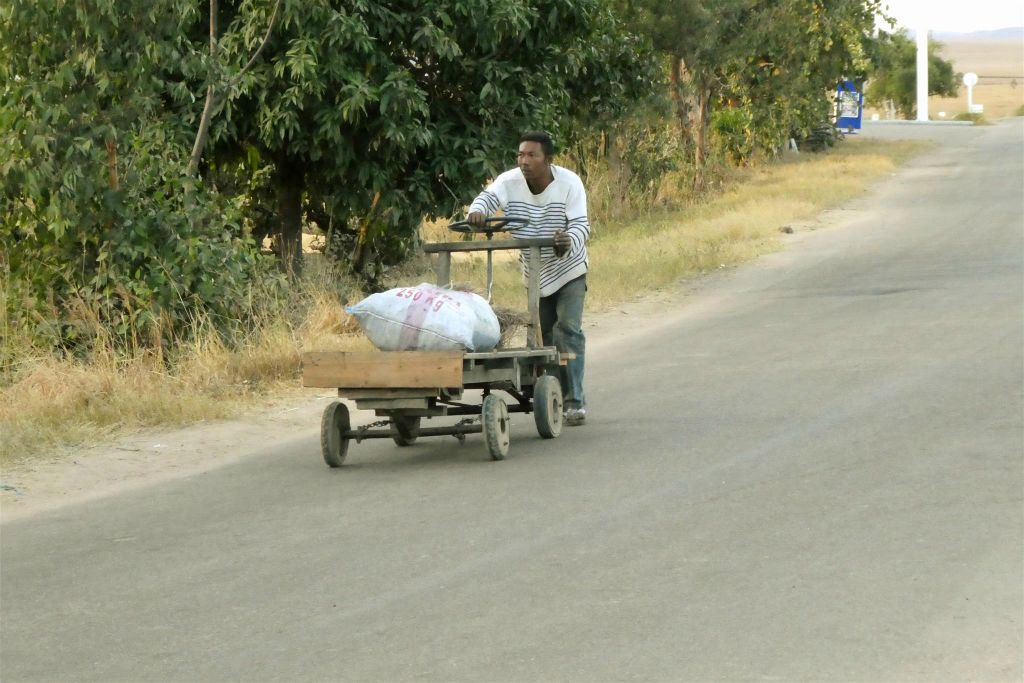 RANOHIRA - een Malagassiër onderweg met goederen