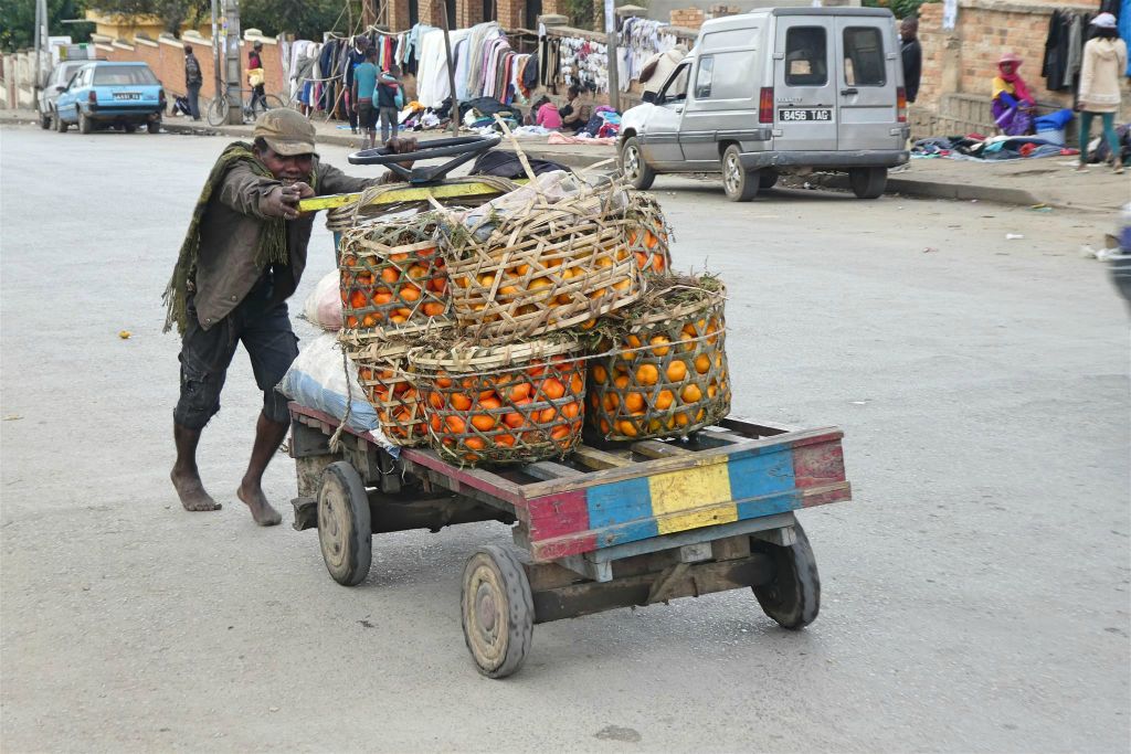 FIANARANTSOA - een Malagassiër met sinaasappels op weg naar een markt