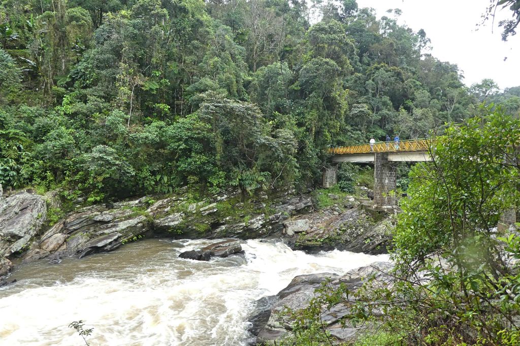RANOMAFANA (NATIONAL PARK) - een gedeelte van het park