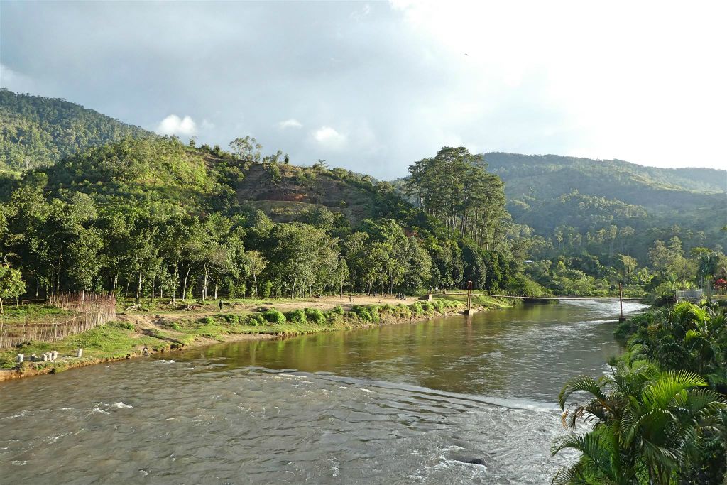 RANOMAFANA - het landschap achter ons hotel