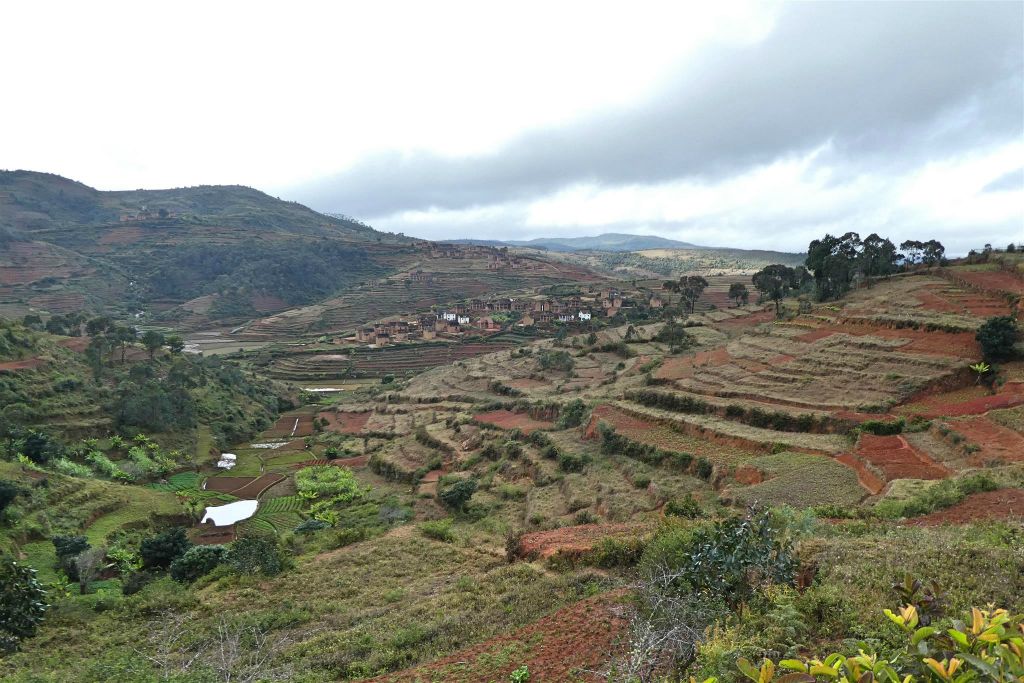RANOMAFANA -> AMBOHIMAHASOA - het landschap
