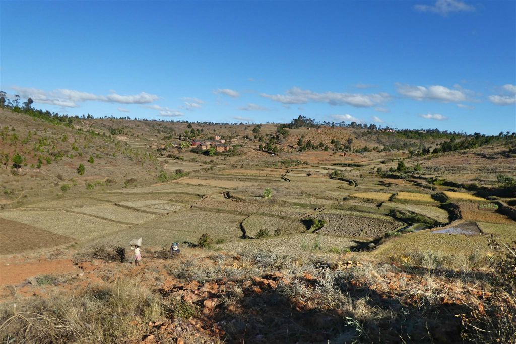 ANTSIRABE -> ANTANANARIVO - het landschap