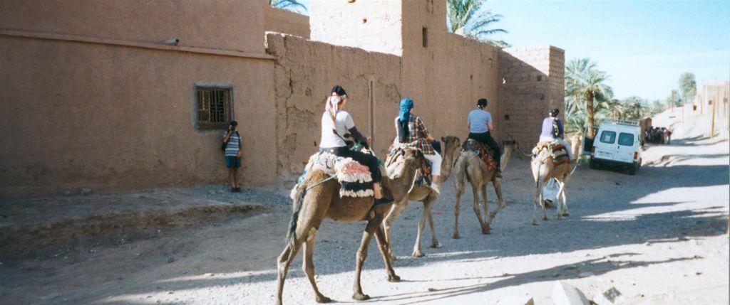 ZAGORA - enkele groepsleden bezig met een dromedarissen tocht