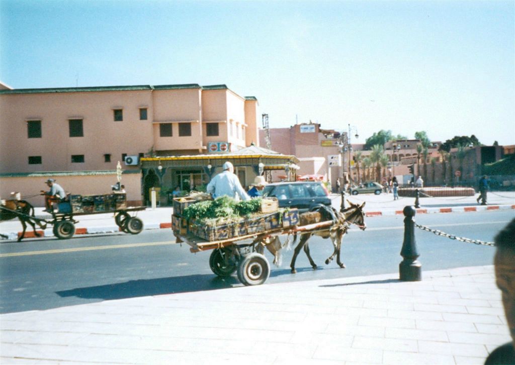 MARRAKECH - een groenteman
