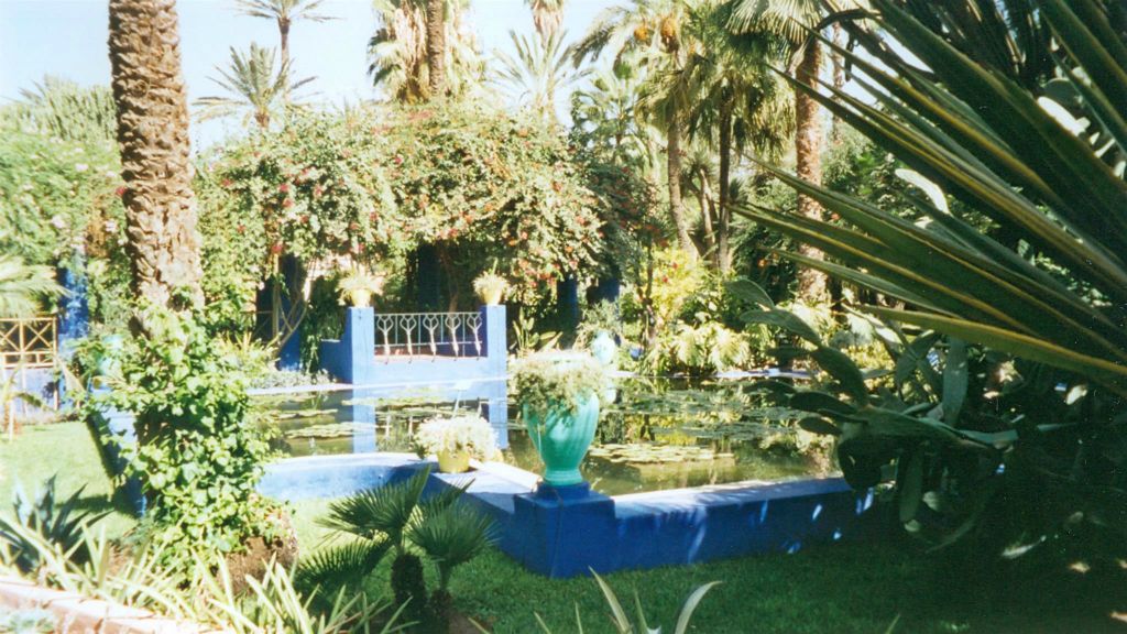 MARRAKECH - de aangelegde tuin door franse kunstschilder Louis Majorelle