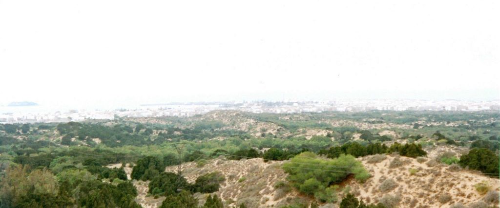 MARRAKECH -> ESSOUIRA - het uitzicht onderweg