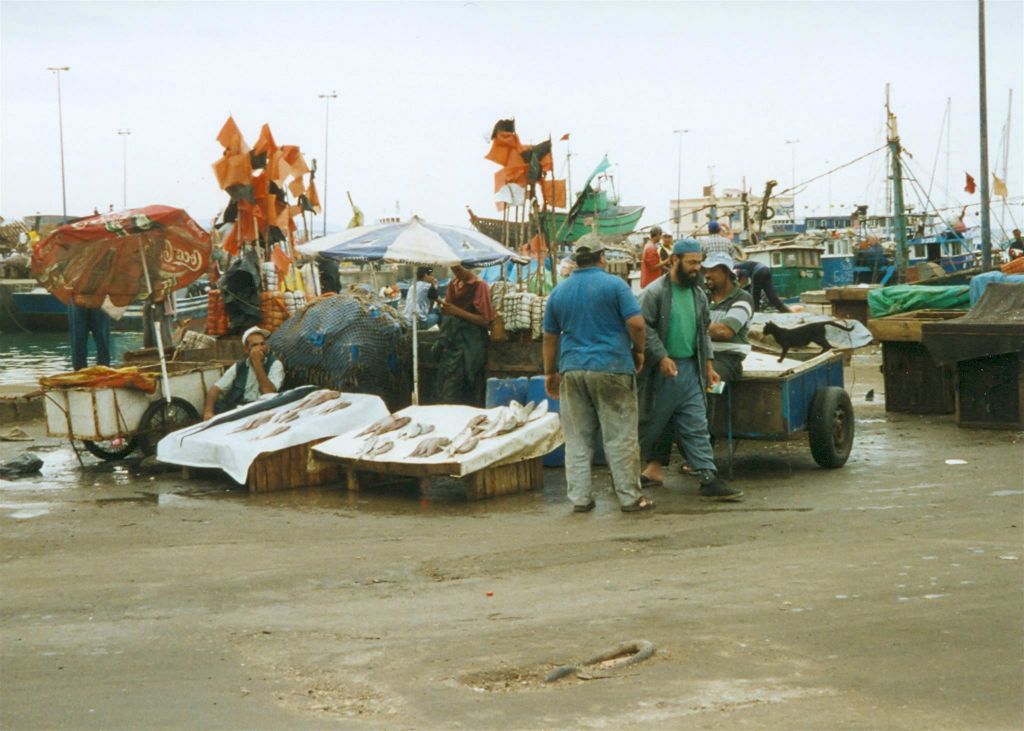 ESSOUIRA - de haven
