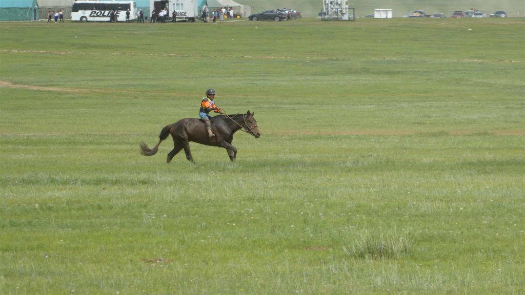 ULAANBAATAR - een deelnemer tijdens de Naadam festival paardenrace