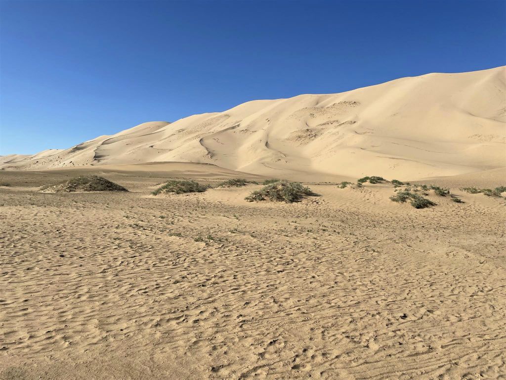 KHONGORYN ELS - enkele zandduinen in de Gobi woestijn