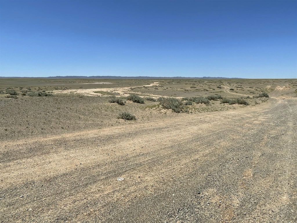 KHONGORYN ELS -> BAYANZAG - het landschap onderweg