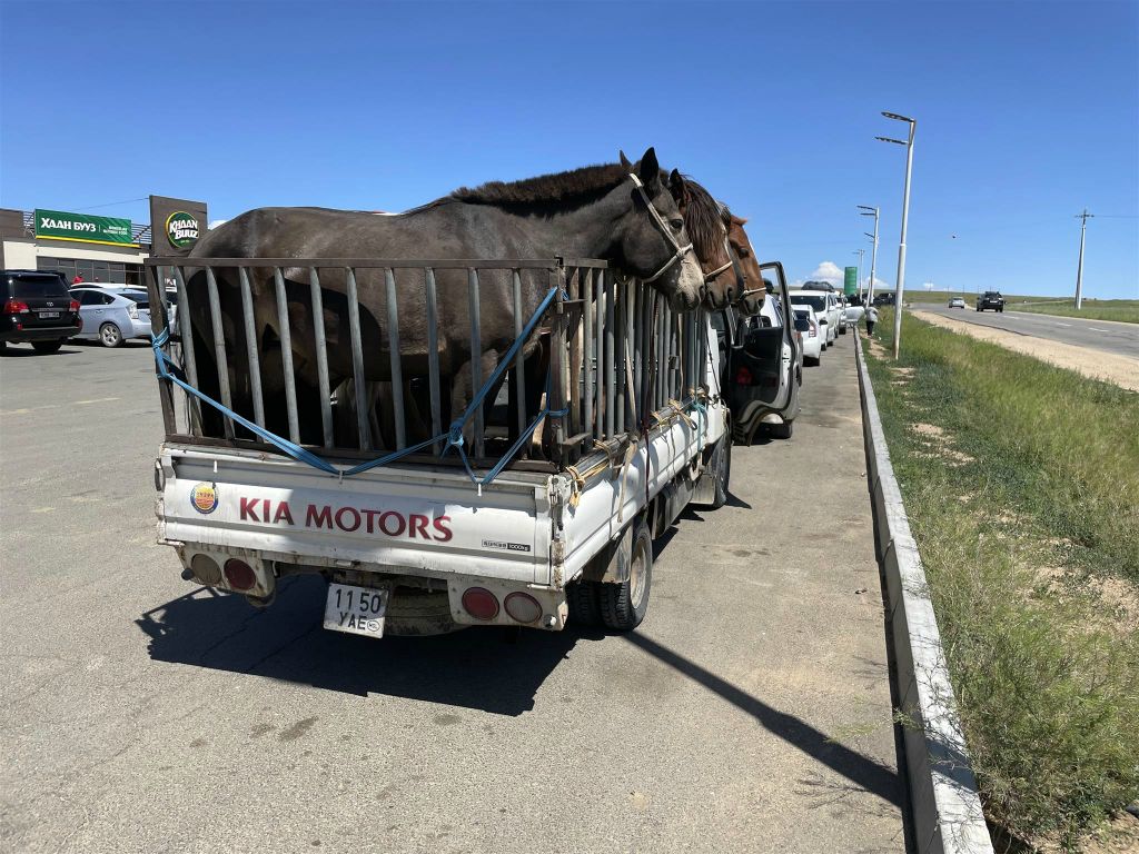 ONGI -> KHOGNO KAAN - een vrachtwagen met paarden