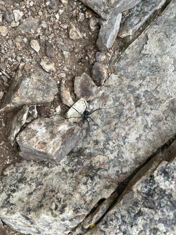 KHORGO TERKHIIN TSAGAAN NUUR NATIONAAL PARK - een spin