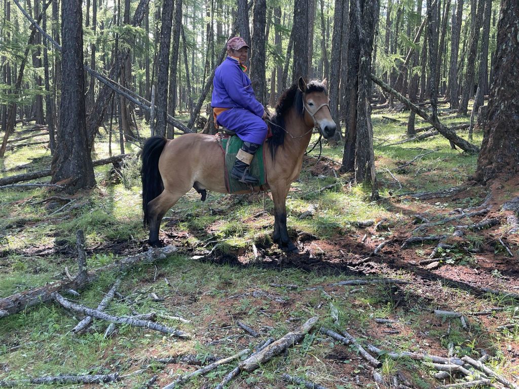 KHÖVSGÖL NUUR NATIONAAL PARK - een Mongool op een paard