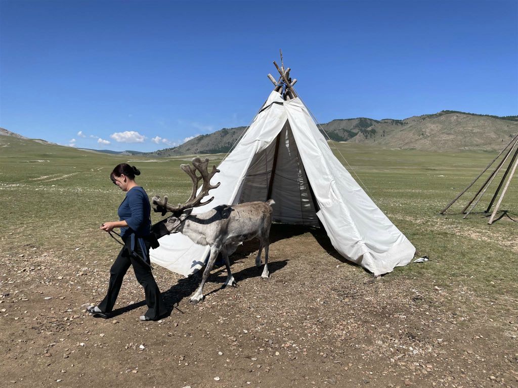 KHÖVSGÖL NUUR NATIONAAL PARK -> URAN TOGOO - een Mongoolse met een rendier