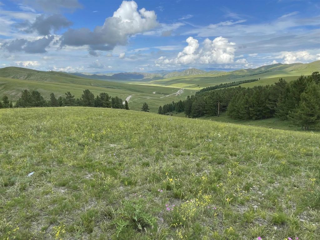 ERDENET -> AMARBAYASGALANT URGUU - het landschap onderweg