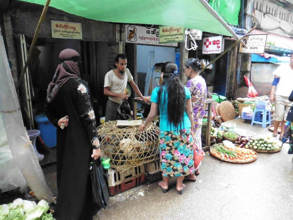 YANGON - levende kippen op een lokale markt