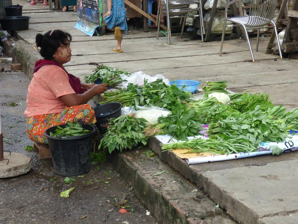 YANGON - verkoopster van oa Qat