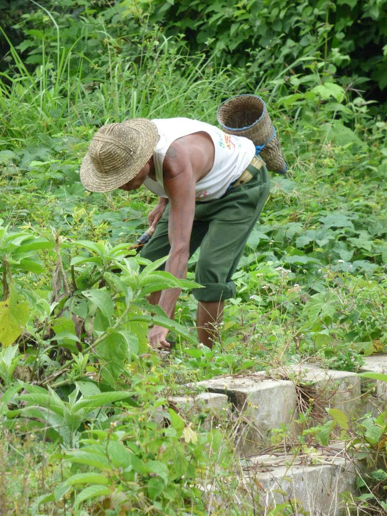 HSIPAW - een man aan het werk in zijn tuin