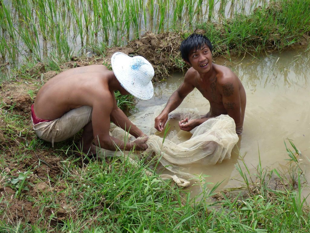 HSIPAW - twee mannen die aan het vissen zijn bij een rijstveld