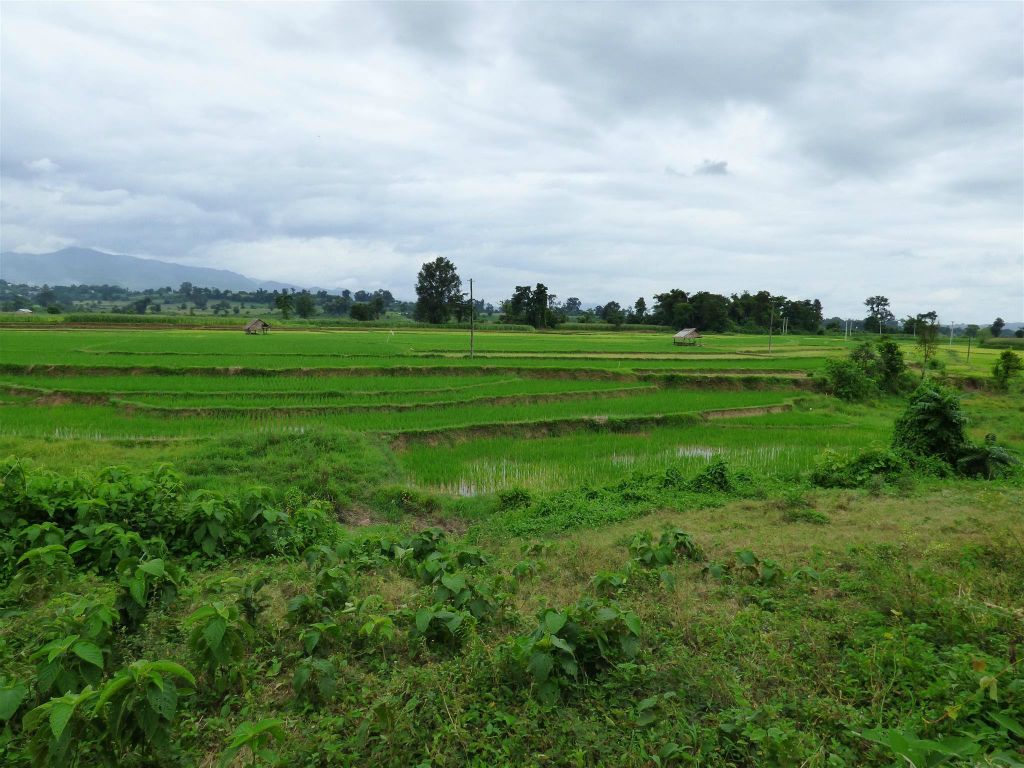 HSIPAW - het landschap met rijstvelden