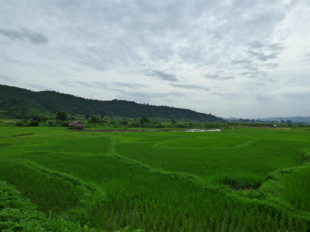 HSIPAW - het landschap met rijstvelden