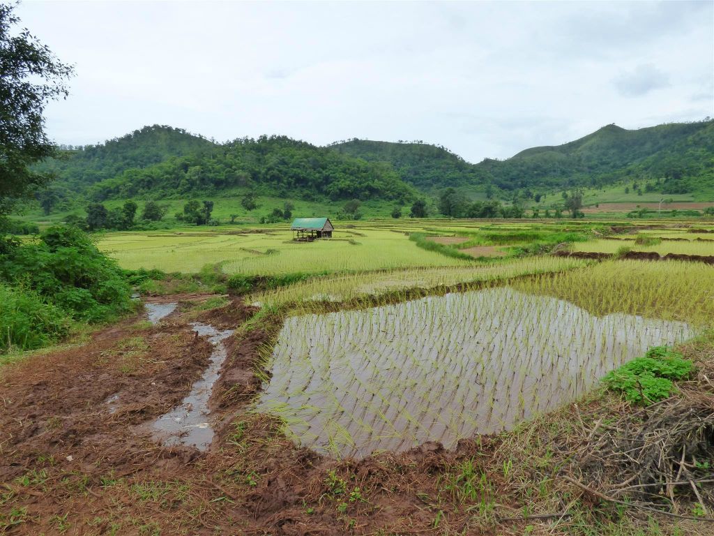 HSIPAW -> PANKAM - het uitzicht onderweg tijdens de trekking