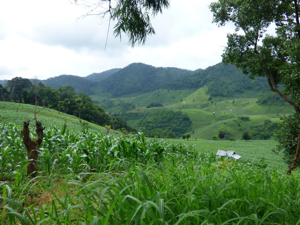 PANKAM -> HSIPAW - het uitzicht onderweg  tijdens de trekking