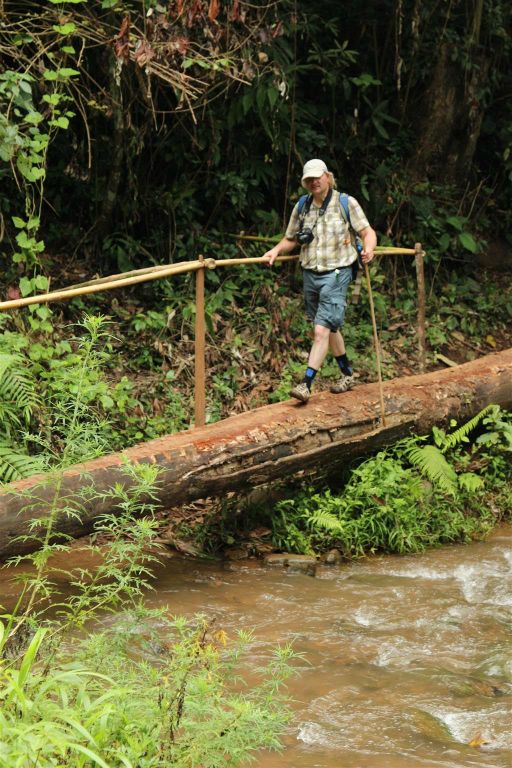 PANKAM -> HSIPAW - Carlos loopt over een boomstam tijdens de trekking